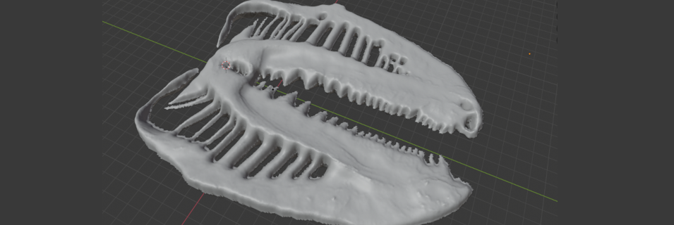 link to view rotifer trophi in 3d using aFrame.io